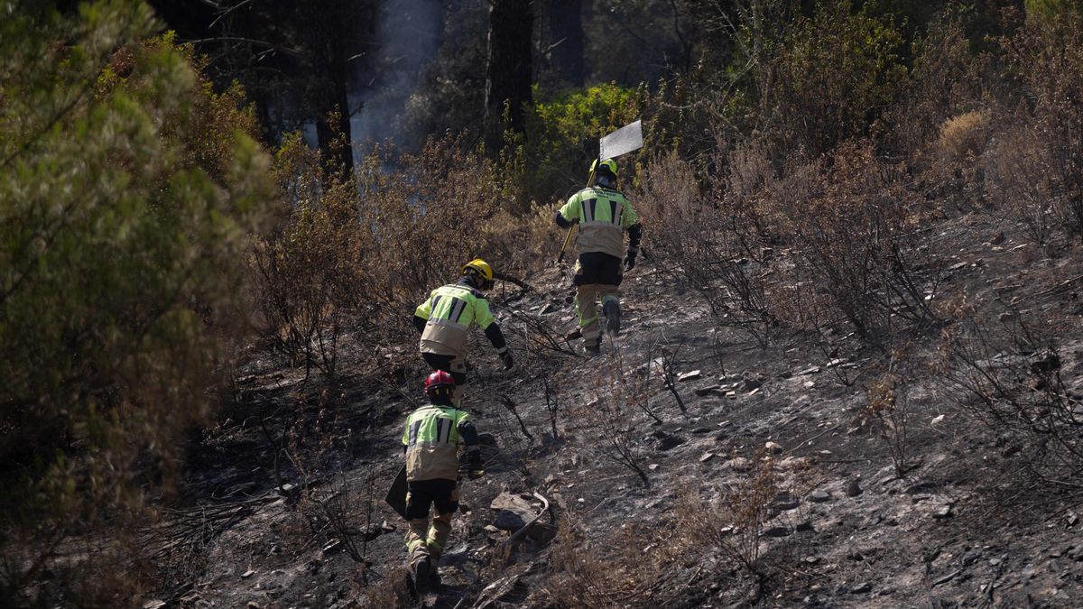Bomberos trabajan en el incendio de Niebla (Huelva) en una imagen la pasada semana.