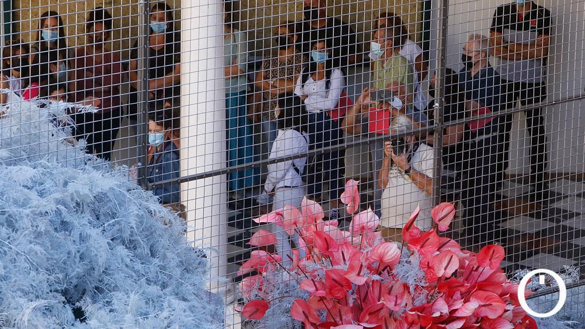 Instalación de Flora 2021 en la Diputación de Córdoba