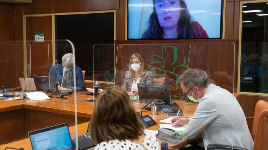 Euskadi asegura que está "incrementando paulatinamente" las consultas presenciales en ambulatorios y hospitales