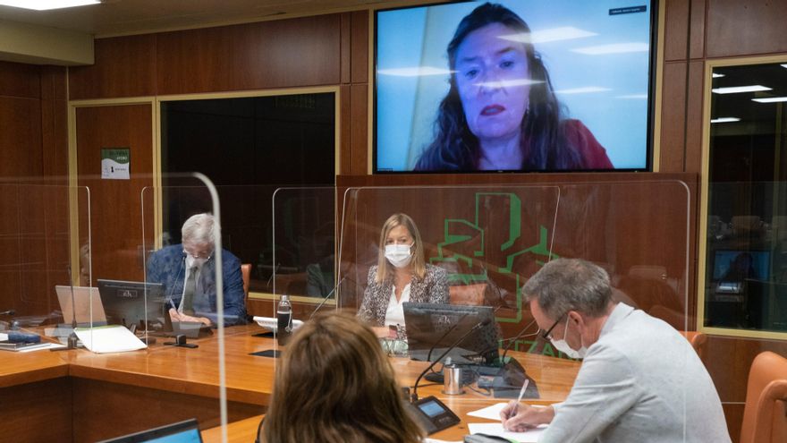 La consejera de Salud, Gotzone Sagardui, interviniendo por Zoom en el Parlamento Vasco