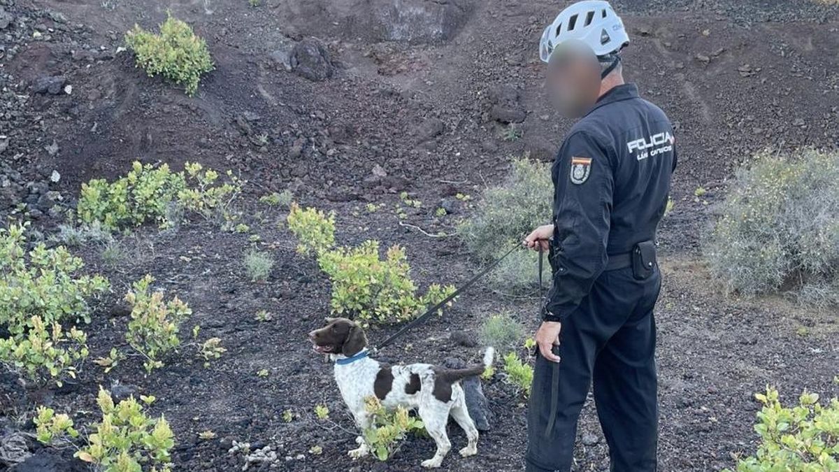 La Policía Nacional localiza el cuerpo sin vida de un hombre en la Sima de Jinámar