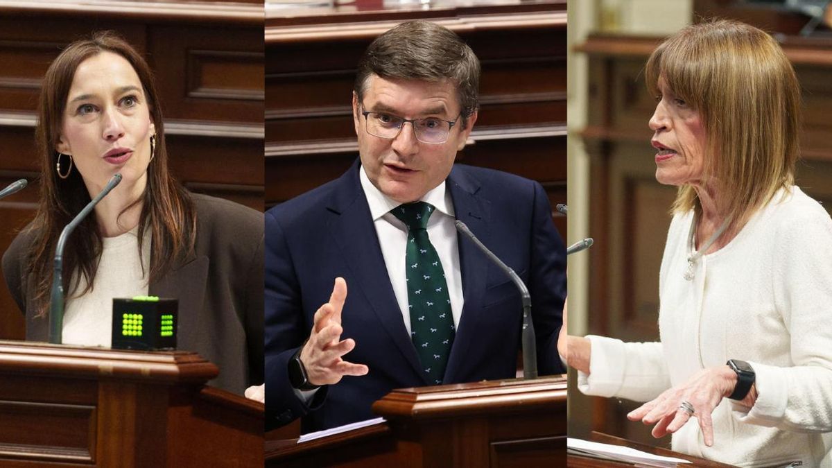 Los partidos de la oposición plantean decenas de propuestas para una mayoría social "abandonada" por el Gobierno de CC y PP