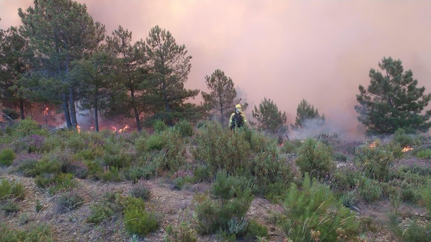 Hartazgo por el virulento fuego que asola Las Hurdes y Sierra de Gata: "Quien haya hecho esto es un sinvergüenza"