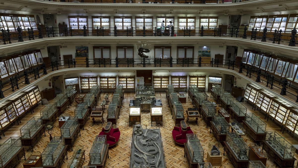 Gabinetes de curiosidades: los templos de la rareza y el misterio que resisten en España