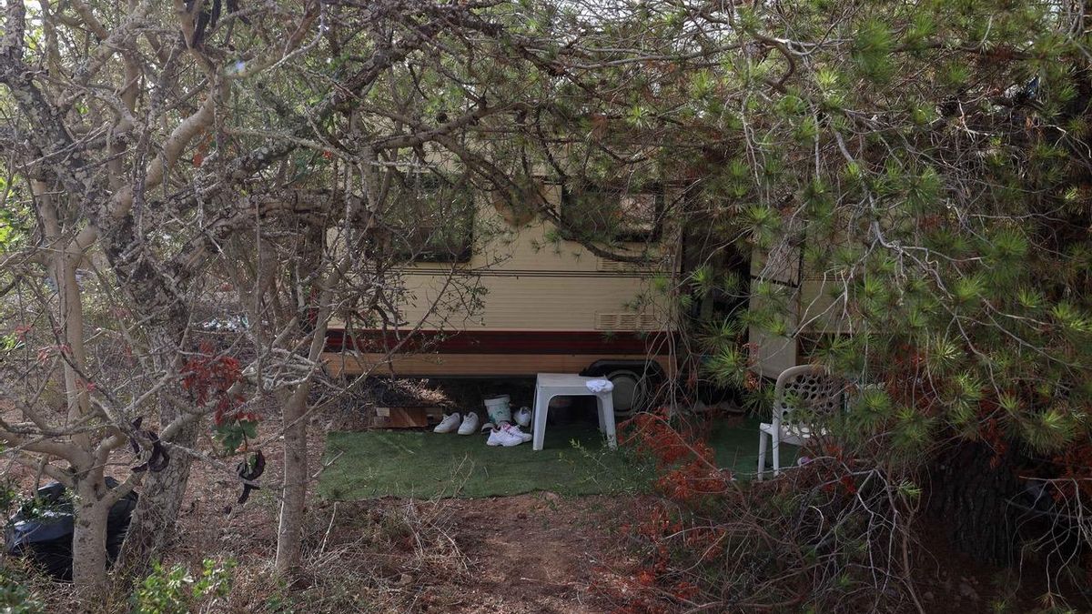 Pinos y algarrobos dan sombra, y ocultan, a las caravanas.