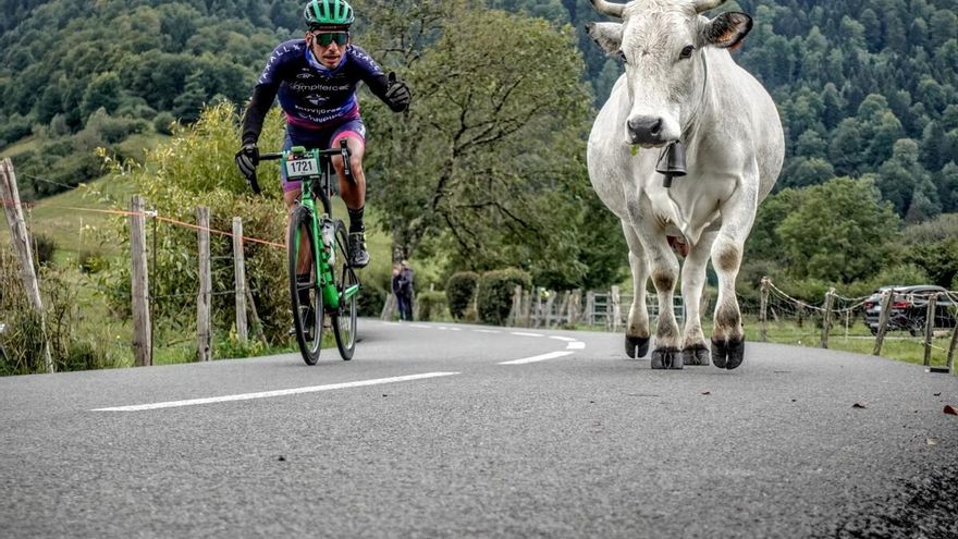 Consigue uno de los cuatro dorsales que elDiario.es sortea para la prueba cicloturista Quebrantahuesos
