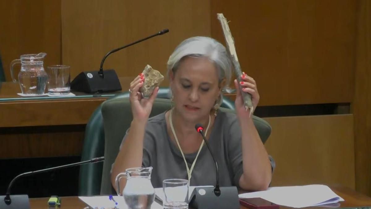 "Vamos a evitar shows": la concejal tránsfuga de Vox saca un palo y una piedra en el pleno de Zaragoza