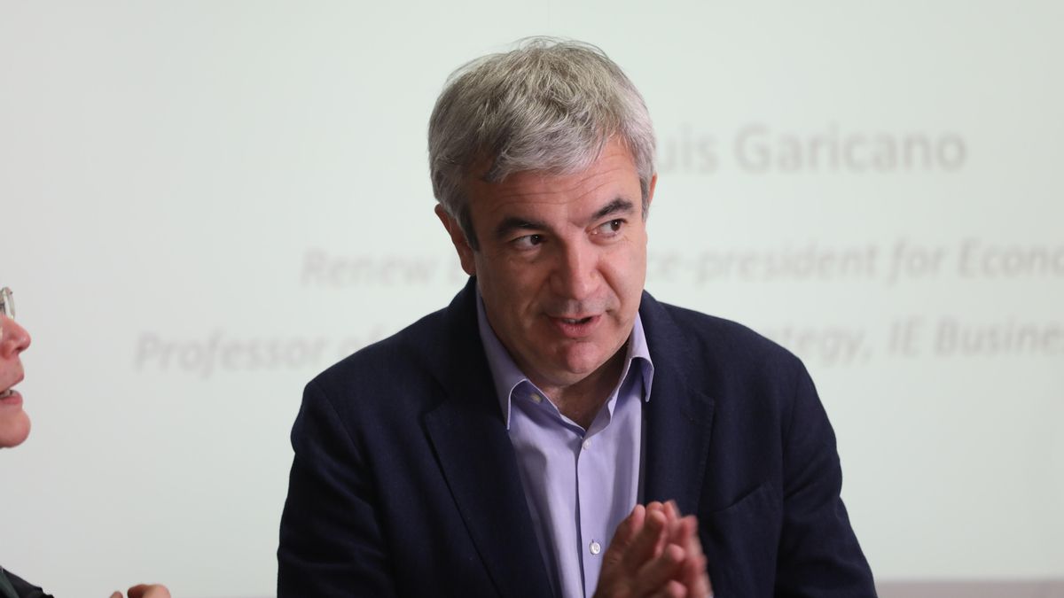 El eurodiputado de Ciudadanos Luis Garicano.