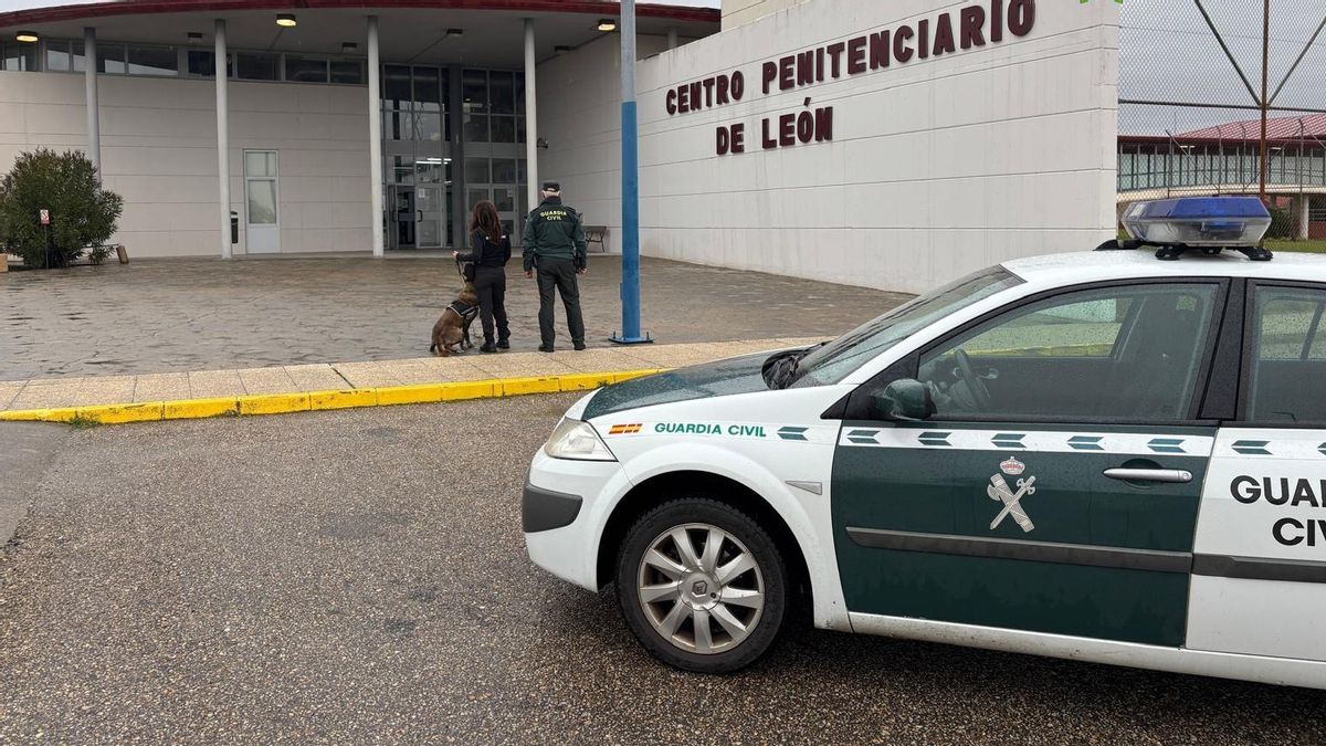 Unidad Canina de la Guardia Civil en la Prisión de Mansilla de las Mulas.
