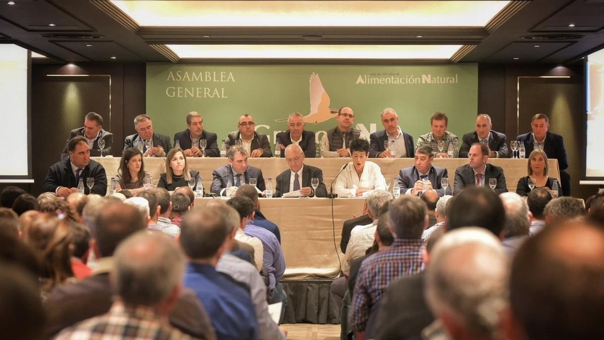 El Grupo AN factura en el último ejercicio 1.353 millones, un 17 por ciento más