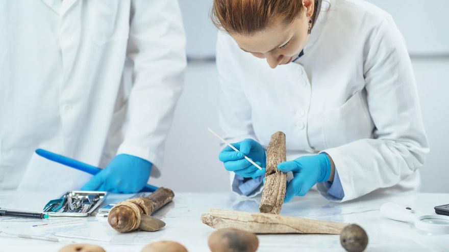 Día del Antropólogo: ¿por qué se celebra cada 27 de julio en Argentina?