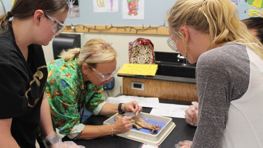 ¿Una imagen vale más que mil palabras? La ciencia dice que sí, especialmente al aprender conceptos científicos