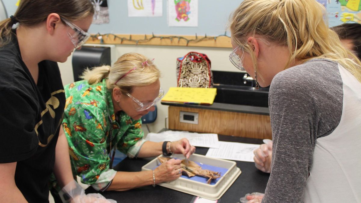 El uso de imágenes puede ayudar a los estudiantes de secundaria a visualizar términos científicos.