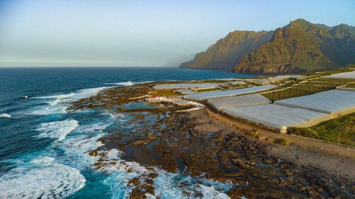 Adiós al club privado con piscina en Punta del Hidalgo: el Supremo da la razón al Ayuntamiento de La Laguna