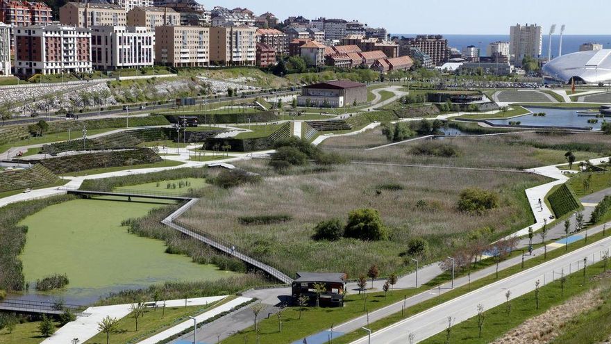 Menos asfalto y más vida: ciudades que recuperan naturaleza para adaptarse al calor extremo