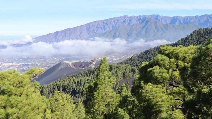 La Palma, Premio Turismo Islas Canarias al Destino Sostenible