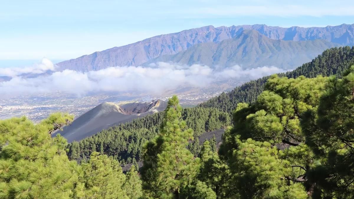 La Palma, Premio Turismo Islas Canarias al Destino Turístico Sostenible