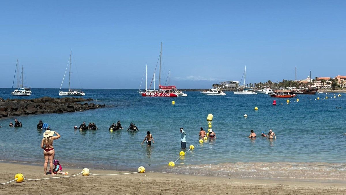 Embarcaciones fondeadas en la playa de Las Vistas, en Arona.