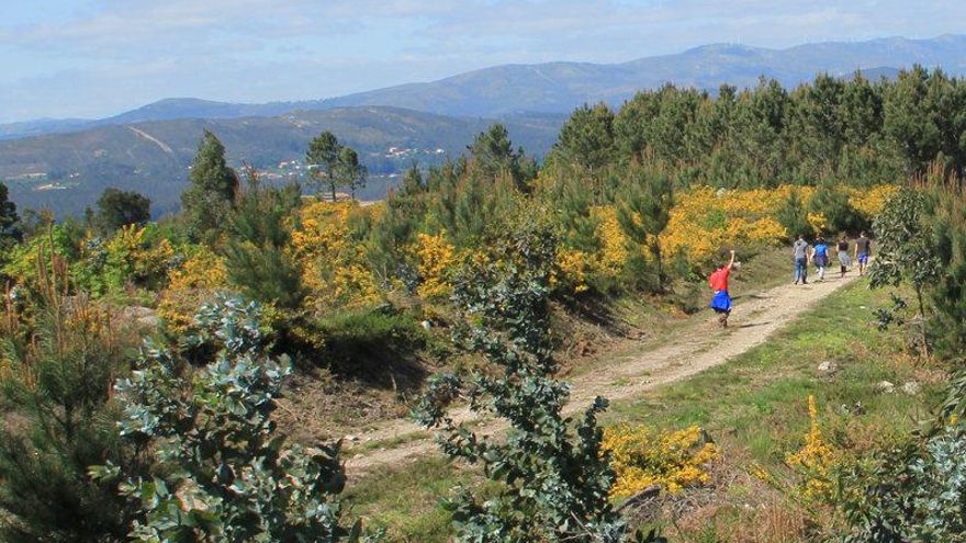 Cuatro senderos clave para explorar a fondo el Monte Xiabre en Vilagarcía: su duración y recorrido