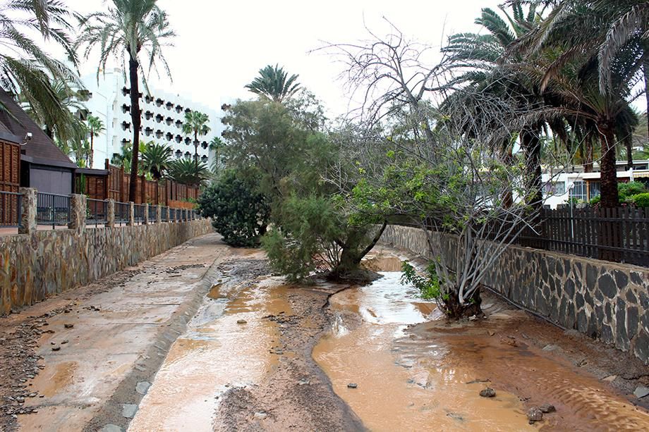 Barranco, Playa de San Agustín.