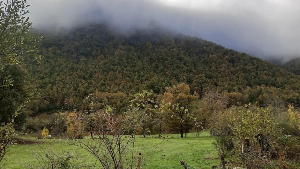 La devesa de Caboalles entre brumas.