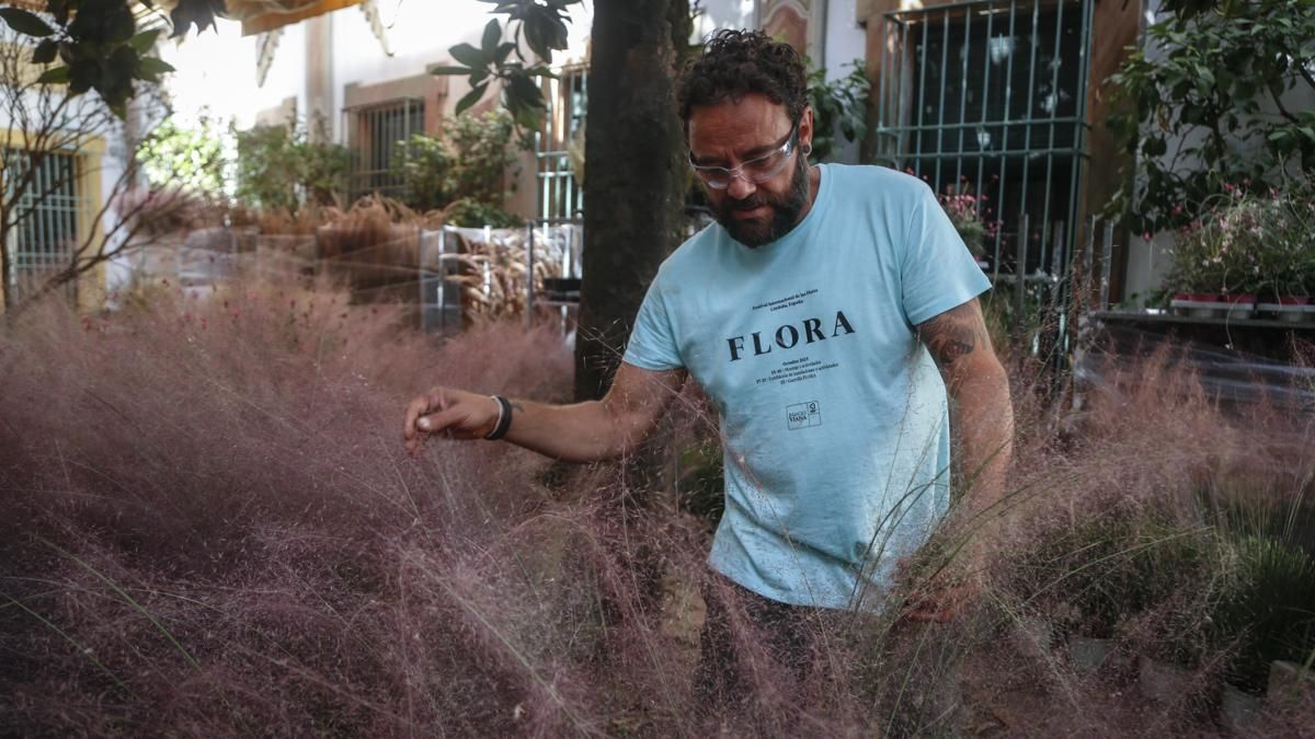 Comienzo del montaje de Flora 2025