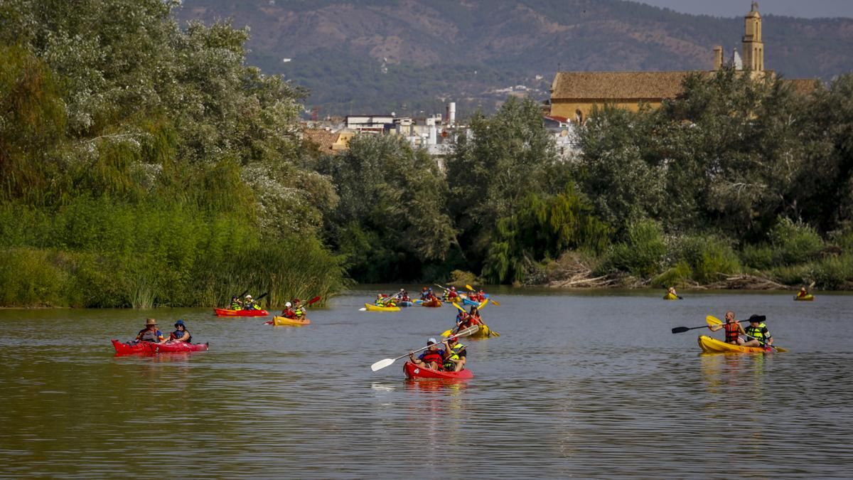 Ruta del Caimán 2026