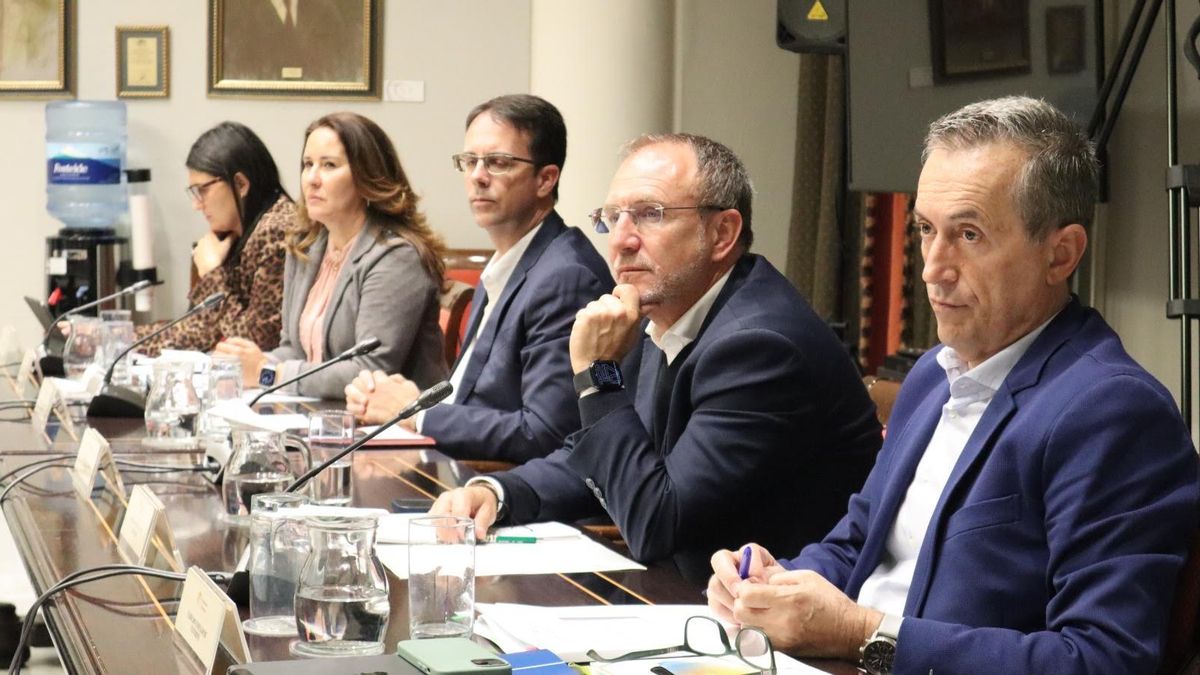 Sergio Rodríguez: “Canarias precisa avanzar en la planificación energética y territorial, respetando las competencias de ayuntamientos y cabildos”