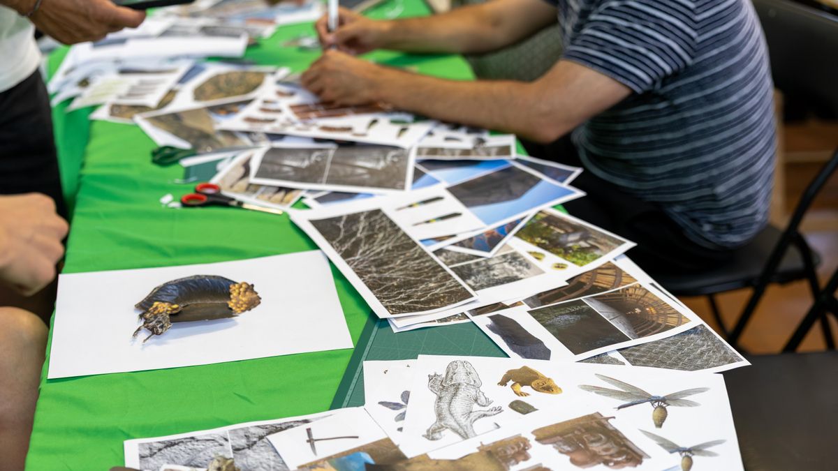 El Instituto Leonés de Cultura y la Fundación Cerezales abren la sexta edición de sus residencias de investigación