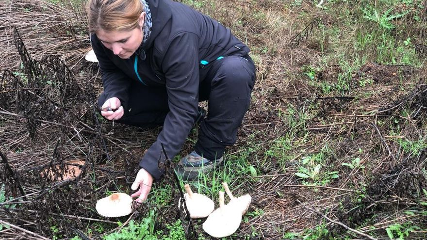 Nazaret Mateos. 40 años. Empresaria zamorana afincada en un pueblo de Palencia