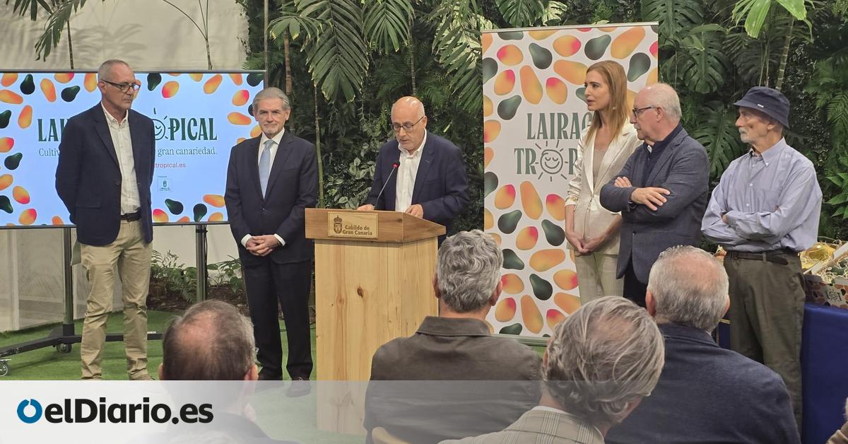 La Cooperativa Agrícola del Norte escenifica el apoyo del Cabildo Gran Canaria a su proyecto innovador de frutas subtropicales