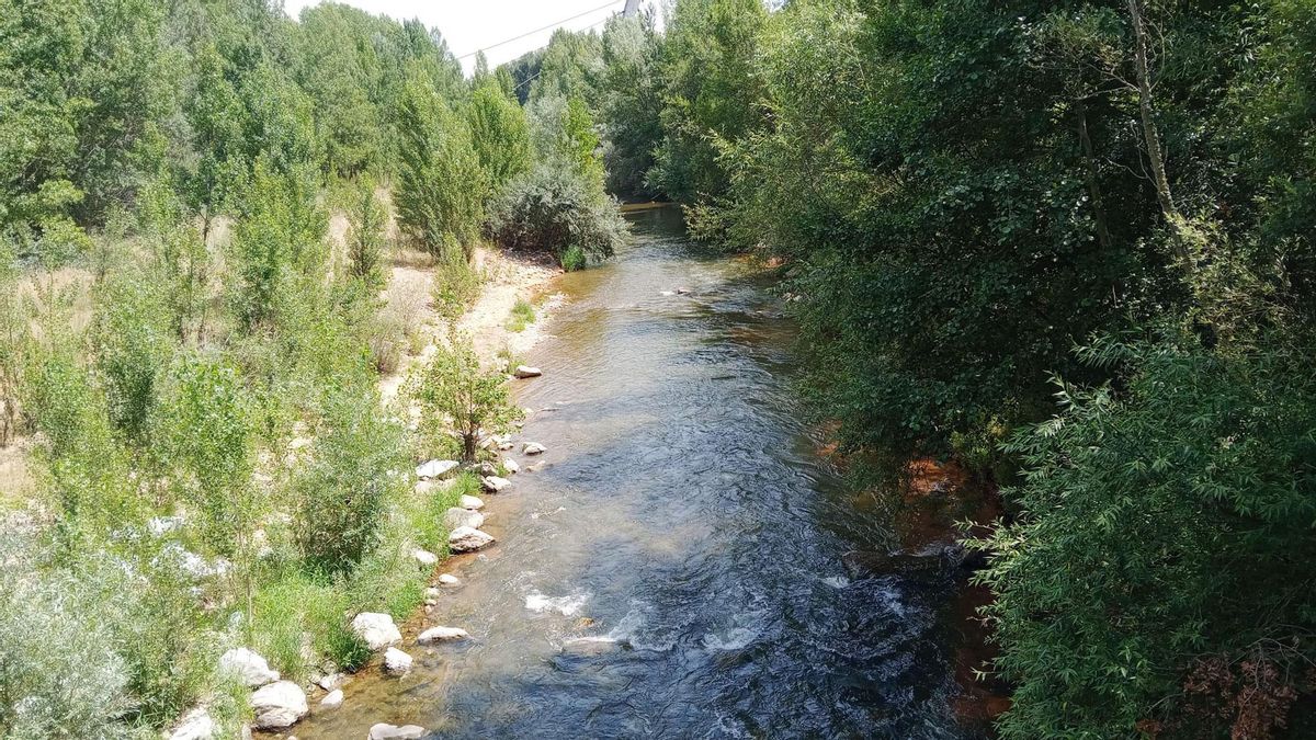 Los nuevos puentes sobre el Bernesga