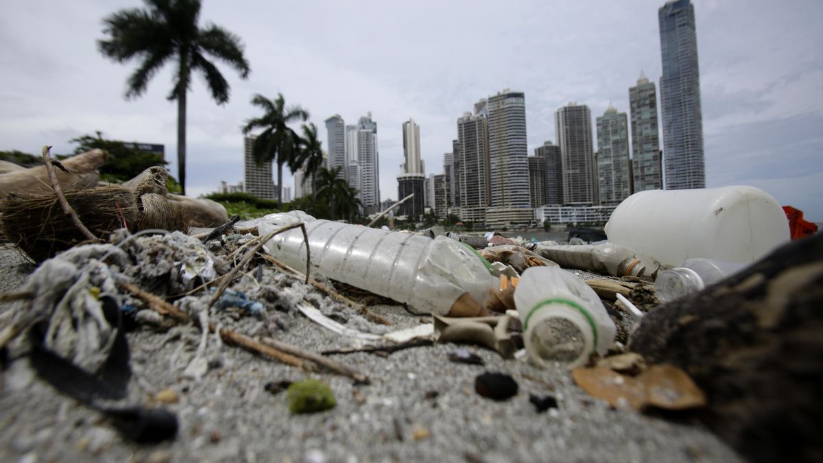 Plásticos acumulados en la bahía de Ciudad de Panamá.