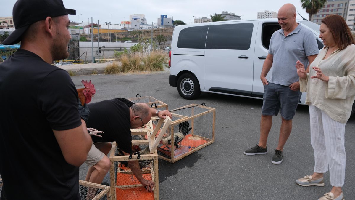 La concejala Carmen Luz Vargas, en una imagen de archivo de retirada de aves.
