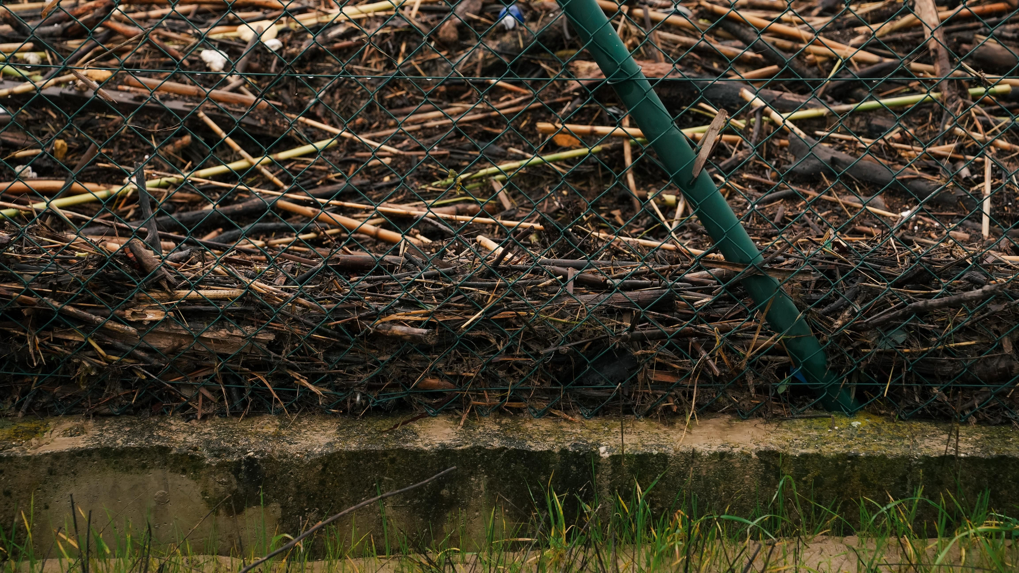 El lodo y el barro, dentro de las parcelas de las calles Perdiz y La Tórtola