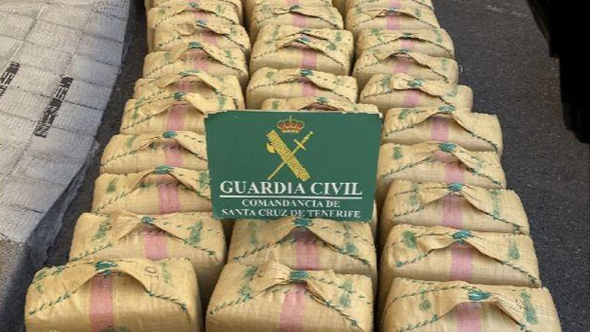 Los paquetes con hachís incautados por la Guardia Civil