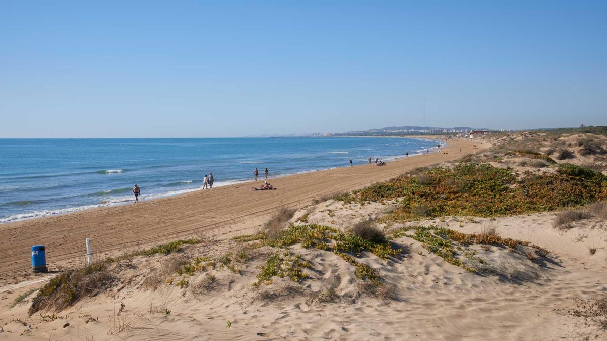 Rodeada de flora y fauna en un paraje natural protegido: la playa de Alicante con dos kilómetros de arena fina y apenas conocida