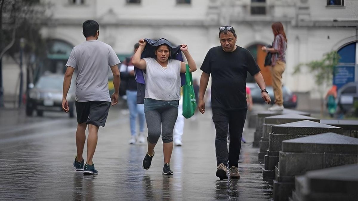 Lluvia fina en Lima (Perú), donde la denominan, garúa'.