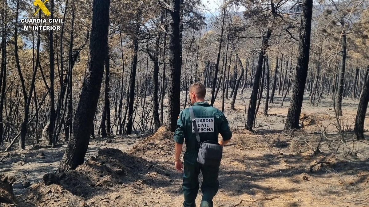 Cuatro detenidos por incendios forestales intencionados en la provincia de Cáceres
