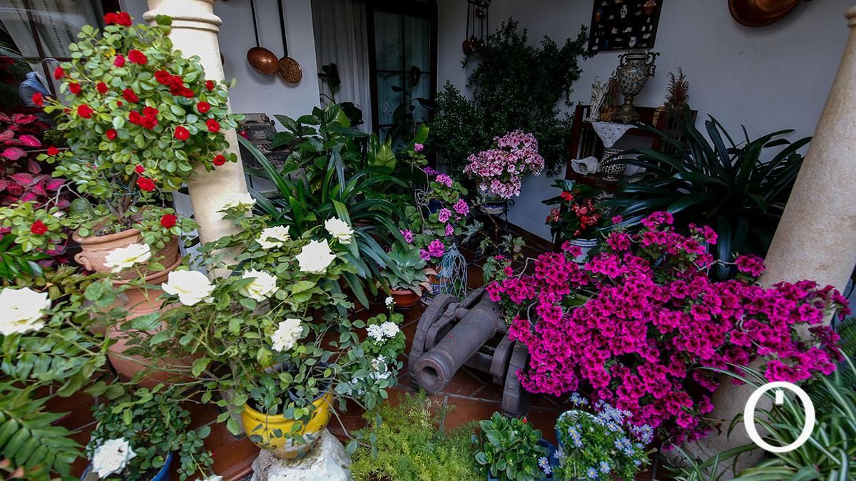 Patio Zarco, 15 - 2022