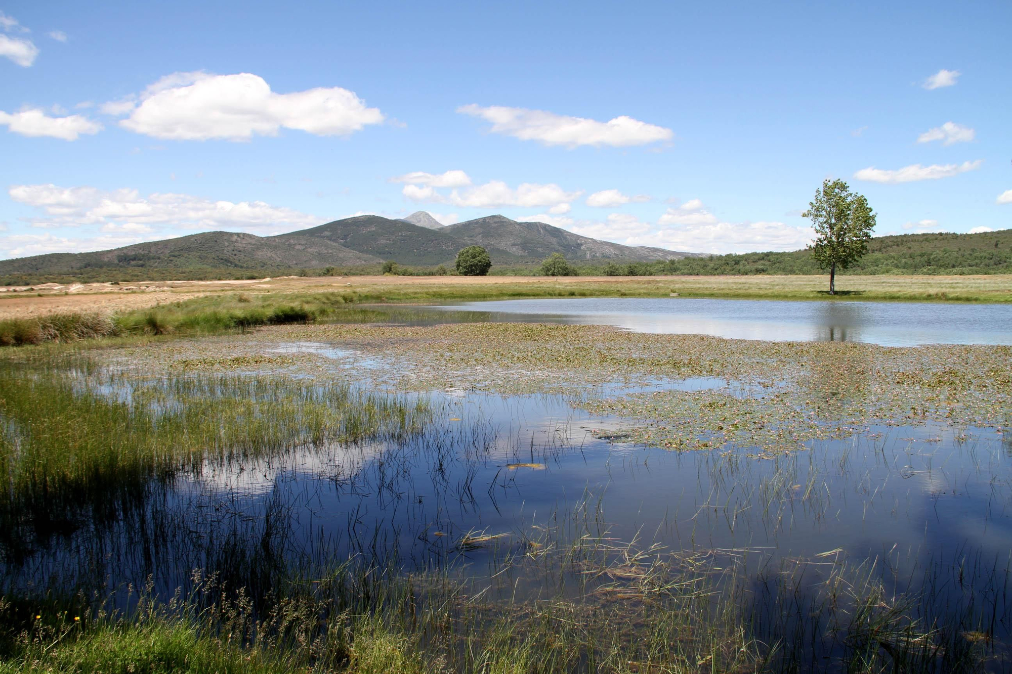 Un emplazamiento dentro de la Sierra Norte de Guadalajara