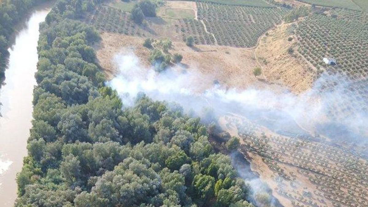 Extinguido el incendio forestal declarado este miércoles junto al río Guadalquivir