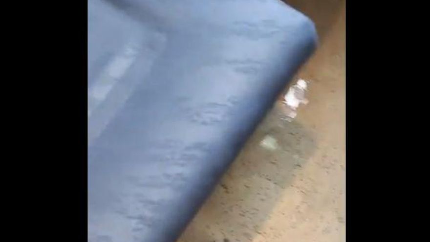Retrasos, averías... y ahora goteras: el agua cae del techo en un tren Avant Madrid-Ciudad Real