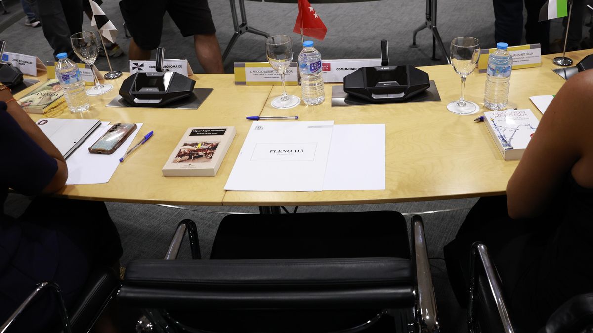 El asiento vacío de la consejera madrileña Rocío Albert en el CPFF.