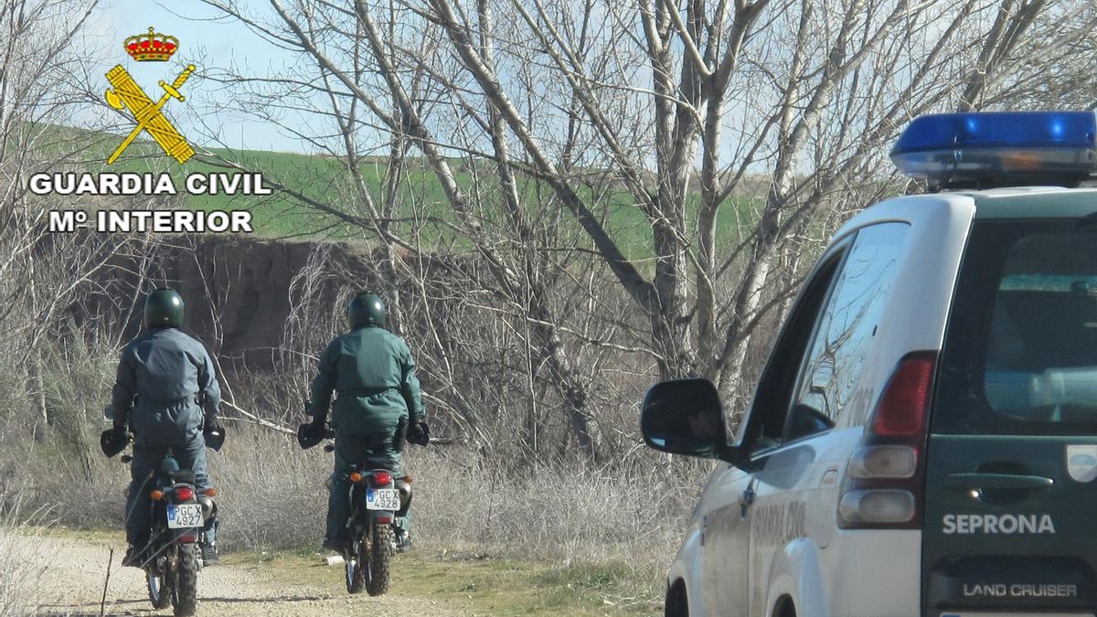 Investigados dos presuntos cazadores furtivos en localidades de Ciudad Real