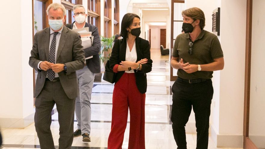 Ashotel valora el "compromiso" del Estado con la reforma del aeropuerto de Tenerife Sur y espera que se concrete "lo antes posible"
