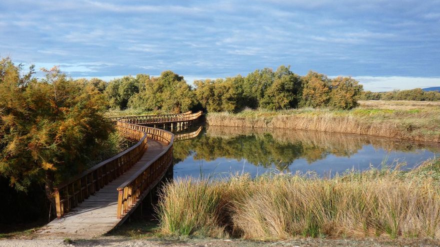 Ya está encharcado un tercio de las Tablas de Daimiel: "Las medidas en Doñana o el Mar Menor no son extrapolables"