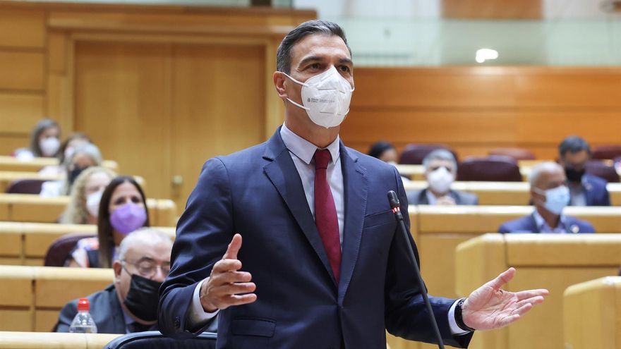 El presidente del gobierno Pedro Sánchez, interviene en el Senado.