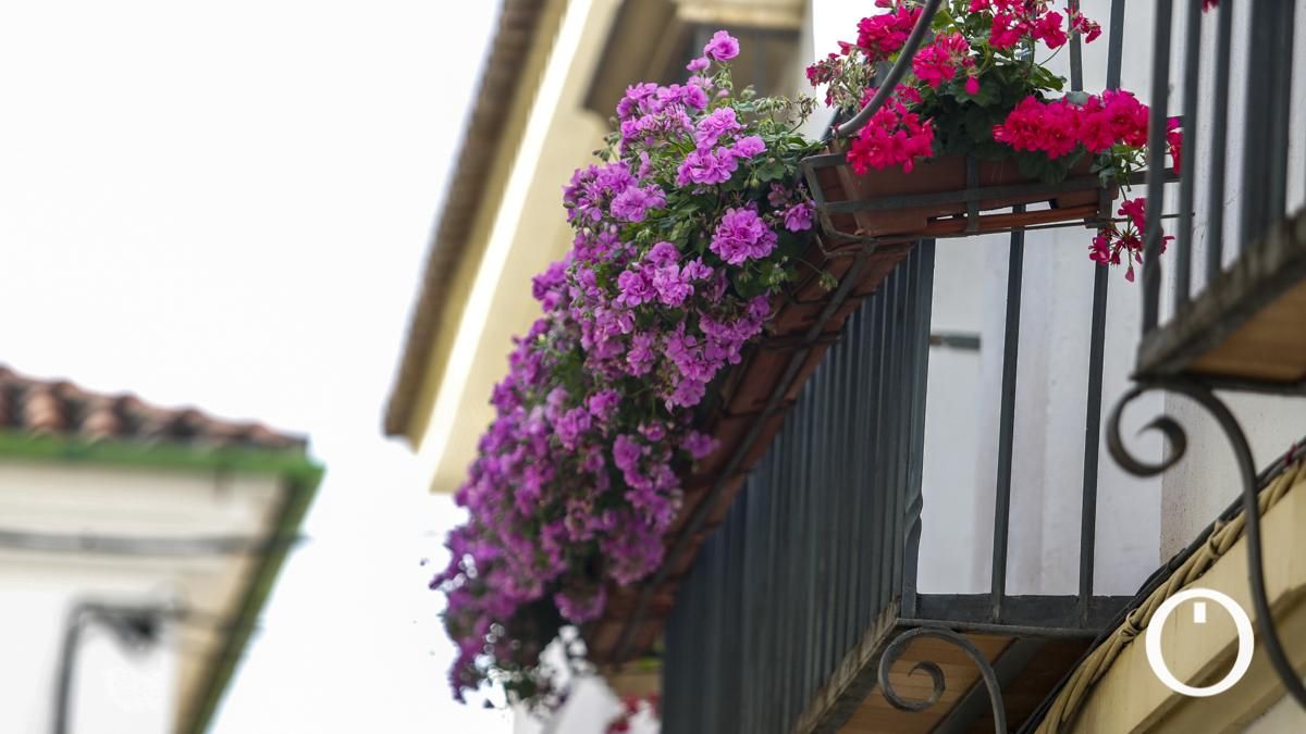 Rejas y Balcones en la C/ Cidros, 7