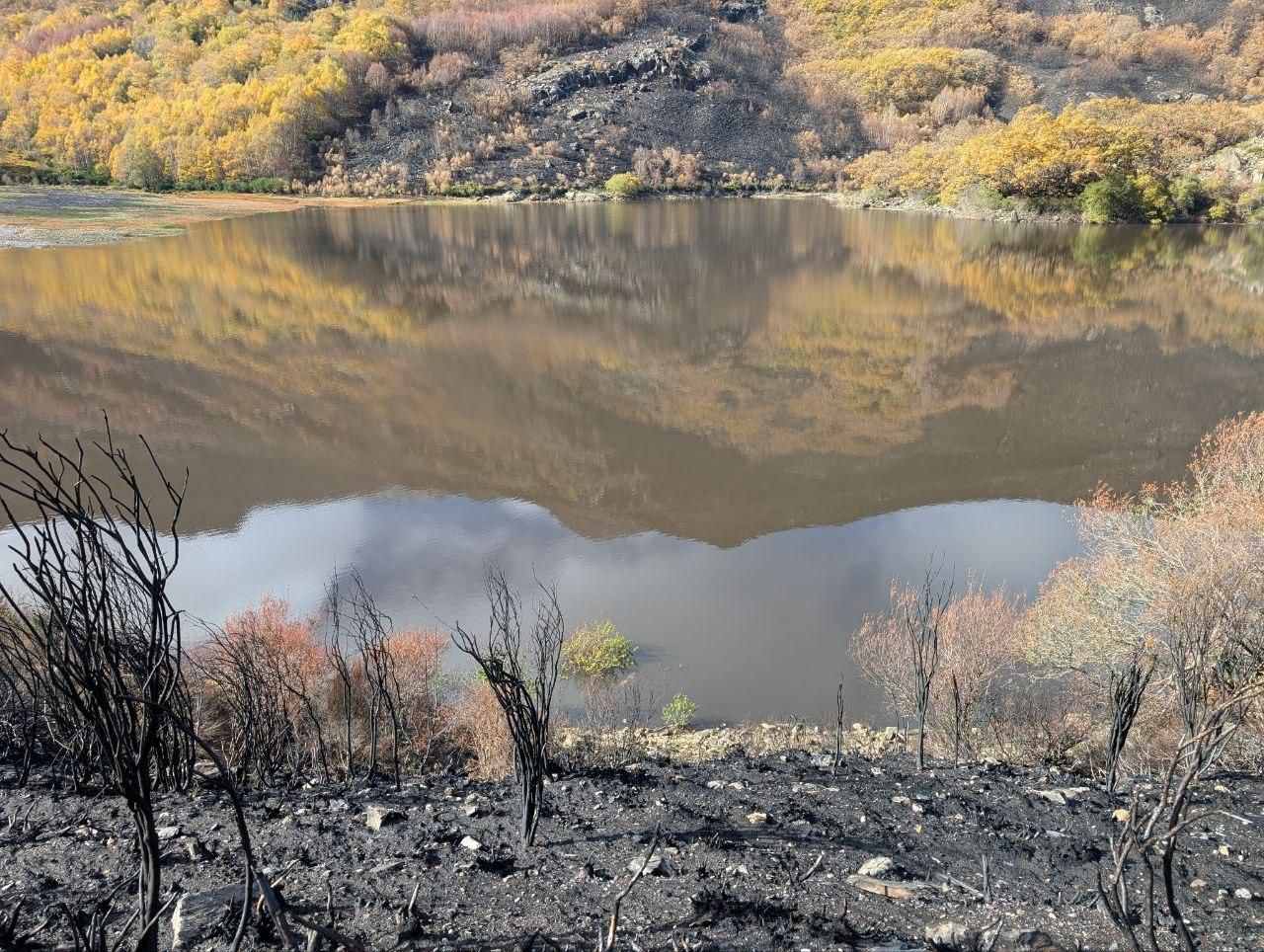 El Lago de la Baña tres meses después de ser arrasado por el fuego